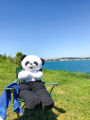 Toy Plush Panda and Camping Chair in Seaside