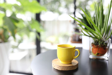Yellow coffee cup and notebook and plant pot