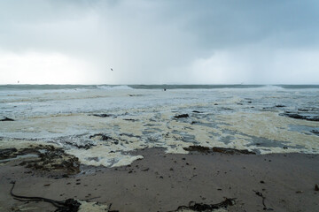 storm on the beach, grey moody Winter day with clouds and sea foam on sand concept weather, climate and season