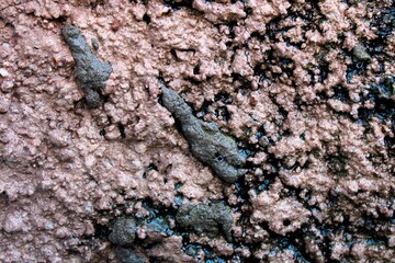 Pared de de concreto de una casa con salpicrè de mucha textura, con pegotes de cemento gris y lìneas de musgo negro, forman un original diseño natural abstracto para fondos