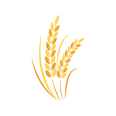 Rice symbol. Wheat symbol vector. wallpaper. logo design.