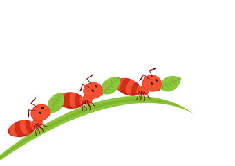 Ant character vector. Ant on white background. Ant on the leaf.
