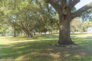 Sunset Beach  Park