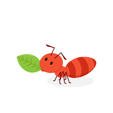 Ant character vector. Ant on white background.