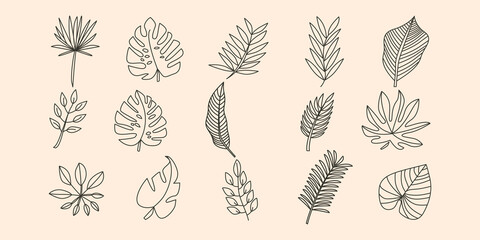 set of vector tropical leaves line art logo vector symbol illustration design