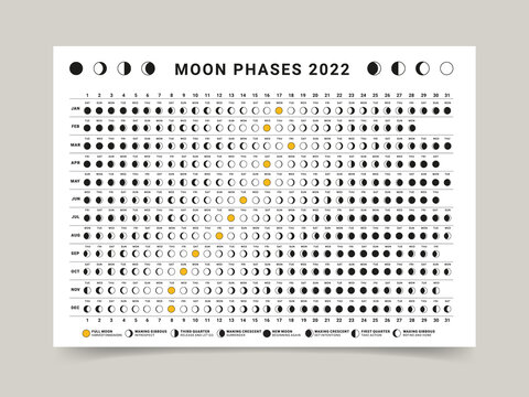 Lunar Calendar 2022 On White Background