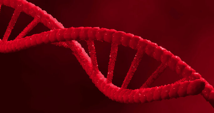 Image of macro of red 3d dna strand spinning