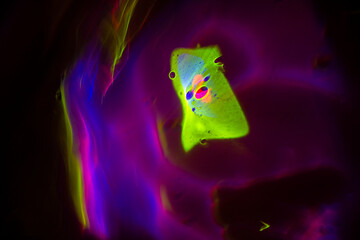 美しい色で形を表現しました。