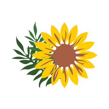 recommend clip art: Sunflower yellow with green leaves isolated on white background.