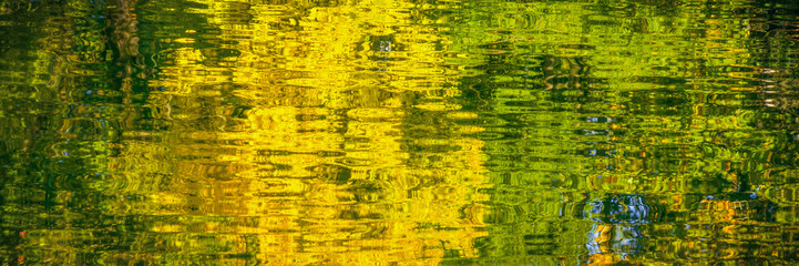 reflections of greenery in lake water texture pattern