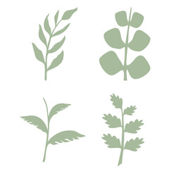 Leaves vector set isolated from the background Leaves different shapes in modern flat style