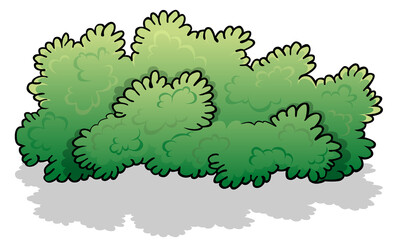 Green Wide Shrub - Colored Cartoon Illustration Isolated on White Background, Vector