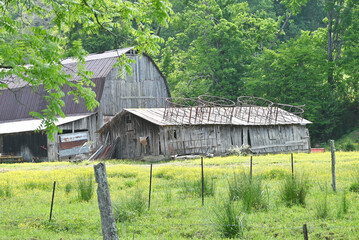 Old Barn and Shed