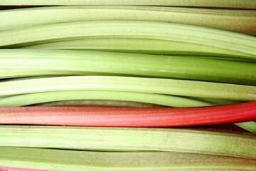 Rhubarb stalks. Rhubarb as background.