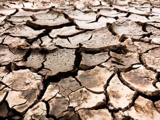 dry cracked ground in summer