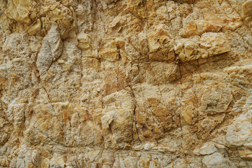 Texture and background of quartzite metamorphic natural rock. 