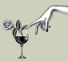 Engraved vintage drawing of a Female hand touches with a finger a glass of wine with a rose - obrazy, fototapety, plakaty