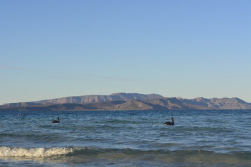 fishing boat on the sea
