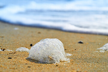 Sand beach. Sea shore. Sunny day.