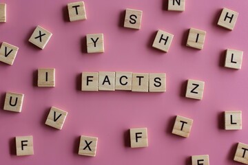 Top view image of wooden cubes with text FACTS on pink background.