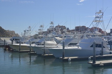Fototapeta premium boats in marina