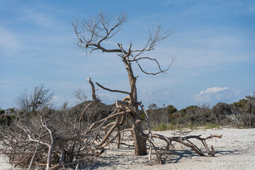 Ocean Isle Beach