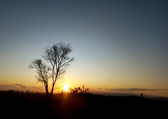 sunset in the forest