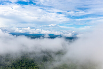 Amazon Rainforest Aerial View. Tropical Green Jungle in Peru, South America. Bird's-eye view.