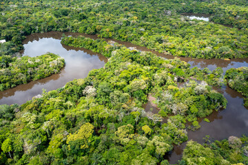 Peru. Aerial view of Rio Momon. Top View of Amazon Rainforest, near Iquitos, Peru. South America. 