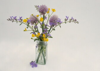 Purple and Yellow Wildflowers in Glass Bottle on White Background