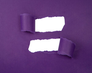 Purple torn paper hole space for text background
