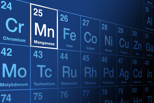 Manganese on periodic table of the elements. Transition metal and chemical element, with symbol Mn and atomic number 25. Used for steel production. Essential human dietary element and micronutrient.