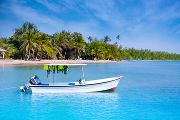 Fototapeta na wymiar Small white boat with green life jacket floating in a beautiful beach