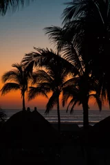 Fototapeten palmeras © jorge