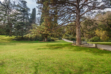 Alley in park of Vorontsov Palace. Alupka. Crimea