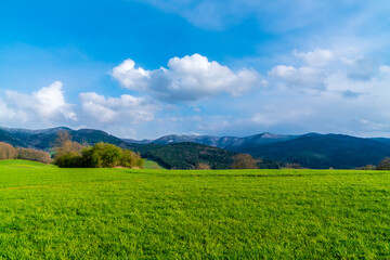 Germany, Black Forest nature landscape panorama view with snow covered mountains at sunset