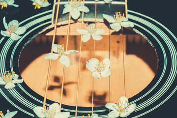 Spring flowers on a musical instrument. Musical string instrumen