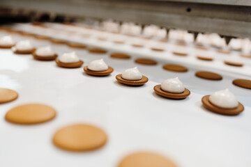 Huge factory line for sweet food and cookies production. Close up shots of industrial manufacturing process.