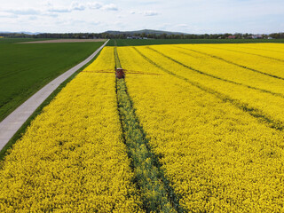 On a field in Goslar in the suburb of Vienenburg am Nordharz in the state of Lower Saxony, a farmer...