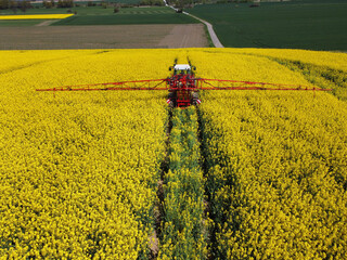On a field in Goslar in the suburb of Vienenburg am Nordharz in the state of Lower Saxony, a farmer...