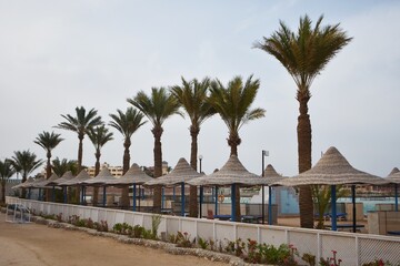 Fototapeta na wymiar Row of umbrellas and palm trees, on Arabia Azur beach resort, in Hurghada, Egypt.
