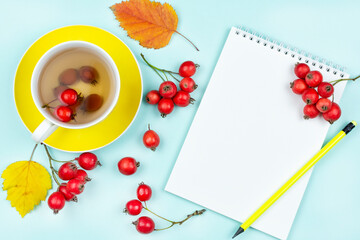 Autumn concept. A Cup of tea (infusion) of hawthorn fruit on a saucer, a Notepad with a blank sheet for writing, a bunch of fresh hawthorn berries on a blue background. Space for text.