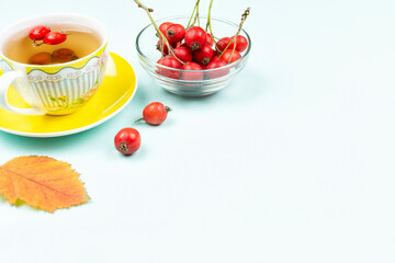 Twigs with red hawthorn berries in a transparent glass Cup and a mug of tea (decoction) on a blue background. Traditional medicine. Recipe. Space for text..