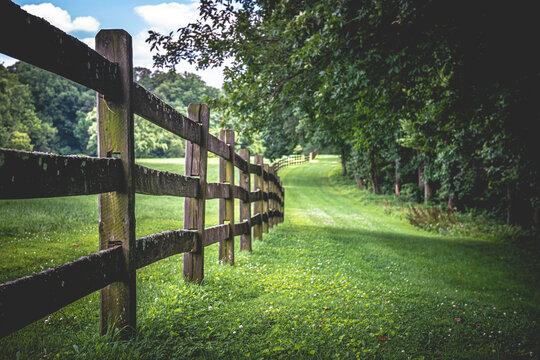 Country Fence Row