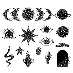 Set of black floral moon phases, sun, stars, saturn, snake, moth, hands, eyes, crystal, vase.