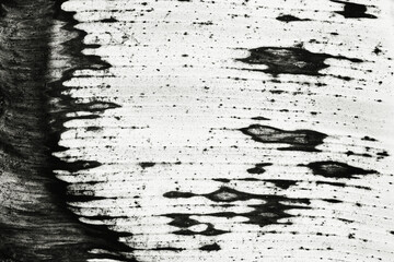 Banana leaf abstract texture background. retro wallpaper with grunge texture