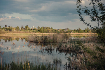 Landscape through the reeds on the lake and houses in the village. View through the reeds to the village. 