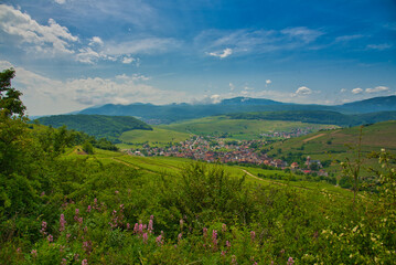 Westhalten in den Vogesen