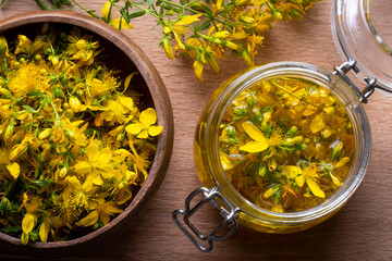 Preparation of St. John's wort oil from fresh blooming Hypericum perforatum plant (Turkish name;...