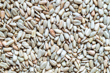 texture of peeled sunflower seeds